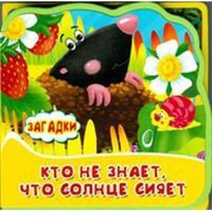 russische bücher:  - Книжка с мягкими пазлами. Кто не знает, что солнце сияет. Загадки.