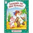 russische bücher:  - Знаешь ли ты буквы?