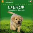 russische bücher: Тейтелбаум Майкл - Щенок находит друзей