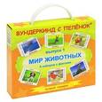 russische bücher:  - Подарочный набор "Мир животных": 6 комплектов карточек