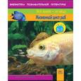 russische bücher: Спилсбери Ричард - Жизненный цикл рыб