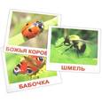 russische bücher: Носова Т. Е. - Комплект карточек Насекомые