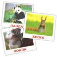 russische bücher: Носова Т. Е. - Комплект карточек мини "Дикие животные"