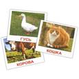 russische bücher: Носова Т. Е. - Комплект карточек Домашние животные  МИНИ