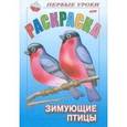 russische bücher:  - Раскраска "Зимующие птицы"