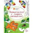 russische bücher: Медов В.М. - Развивающие раскраски. Знакомимся с миром насекомых