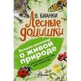 russische bücher: Бианки В.В. - Лесные домишки. С вопросами и ответами для почемучек