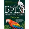 russische bücher: Брэм А. - Птицы. А-К