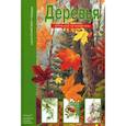 russische bücher: Афонькин Сергей Юрьевич - Деревья. Школьный путеводитель
