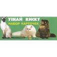 russische bücher:  - Узнай киску. Набор карточек