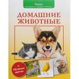 russische bücher: Волцит П. М. - Домашние животные
