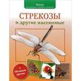 russische bücher: Волцит П. М. - Стрекозы и другие насекомые