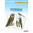 russische bücher:  - Птицы средней полосы. Наглядно-дидактическое пособие. Для детей 3-7 лет