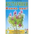 russische bücher: Шорыгина Татьяна Андреевна - Кустарники. Какие они? Книга для воспитателей, гувернеров и родителей
