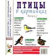 russische bücher:  - Птицы в картинках Выпуск 1. Наглядное пособие