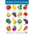 russische bücher:  - Дрофа-Медиа Обучающий плакат Овощи фрукты