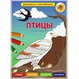 russische bücher:  - Птицы. Кто где обитает. Обучающая раскраска с наклейками