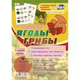 russische bücher: Ульянова О. Г. - Игровой комплект "Ягоды. Грибы" Старшая группа