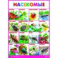 Насекомые