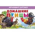 russische bücher:   - Домашние птицы