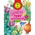 russische bücher: Смирнов А.В. - Зачем луку луковица?