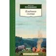 russische bücher: Пришвин М. - Кладовая солнца