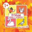 russische bücher: Савушкин С. Н. - Мои первые слова. Птицы рядом с человеком