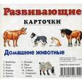 russische bücher:  - Развивающие карточки. Домашние животные