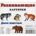 russische bücher:  - Развивающие карточки. Дикие животные