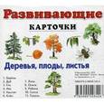 russische bücher:  - Развивающие карточки. Деревья, плоды, листья