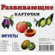 russische bücher:  - Развивающие карточки. Фрукты