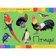 russische bücher:  - Моя первая книга фактов. Птицы