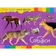 russische bücher:  - Моя первая книга фактов. Собаки