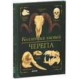 russische bücher: Бедуайер Камилла де ла - Коллекция костей. Черепа