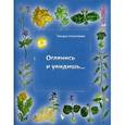 russische bücher: Николаева Тамара - Оглянись и увидишь