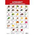 russische bücher:  - Плакат "Алфавит. Письменные буквы"