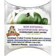 russische bücher:  - Набор развивающих наклеек "Моя корзинка: Экзотические фрукты" (Н-1052/1)