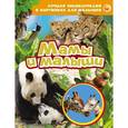 russische bücher:  - Лучшая энциклопедия в картинках для малышей "Мамы и малыши"