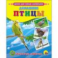 russische bücher:  - Домашние птицы