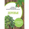 russische bücher: Васильева И. - Папка. Деревья