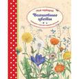 russische bücher: Циск С. - Волшебные цветы. Мой гербарий. Собираем и изучаем садовые растения