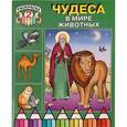 russische bücher:  - Чудеса в мире животных (раскраска II)