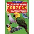 russische bücher: Завязкин О.В. - Большая книга. Попугаи