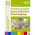 russische bücher: Николаева С. Н. - Бурый медведь