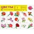russische bücher:  - Демонстрационный плакат. Цветы
