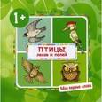 russische bücher: Савушкин С.Н. - Птицы лесов и полей