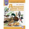 russische bücher: Васильева Светлана Александровна - Мир животных: Дом. и дикие птицы средней полосы