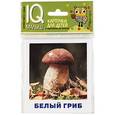 russische bücher:  - Умный малыш. Грибное лукошко. Набор карточек