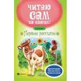 russische bücher: Разумовская Ю. - Первые рассказы. Ступенька 1