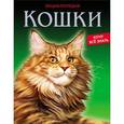 russische bücher: Калугина Леся - Энциклопедия. Хочу всё знать. Кошки